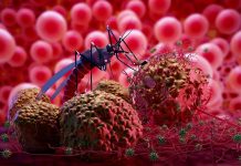 U Rwanda rugiye gutangira gukoresha imiti mishya ivura Malaria