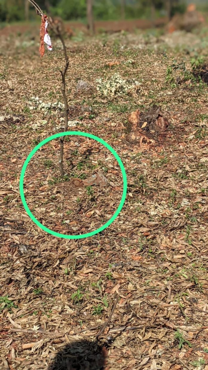 WhatsApp Image 2026-01-15 at 5.50.02 PM